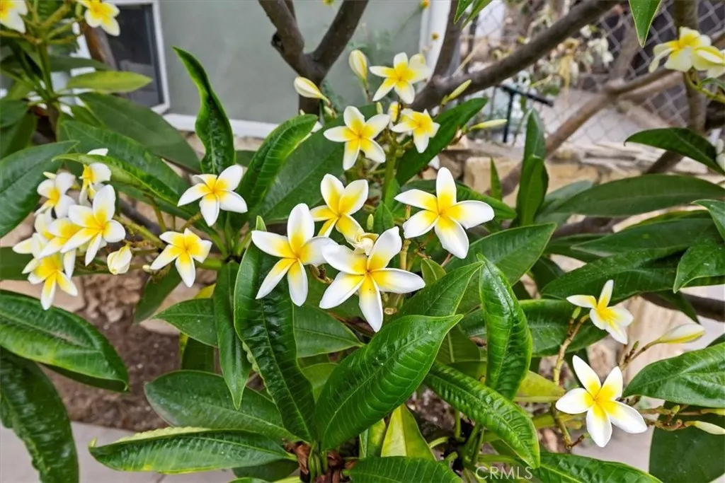 887 Kingman Drive, Norco, California 92860 home-pic-9